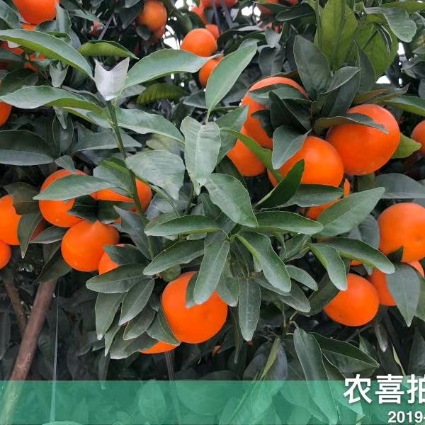 习惯了这种生活