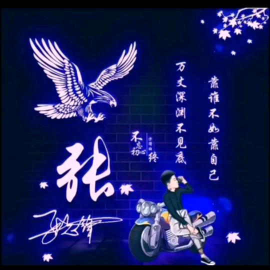 晚风枕酒