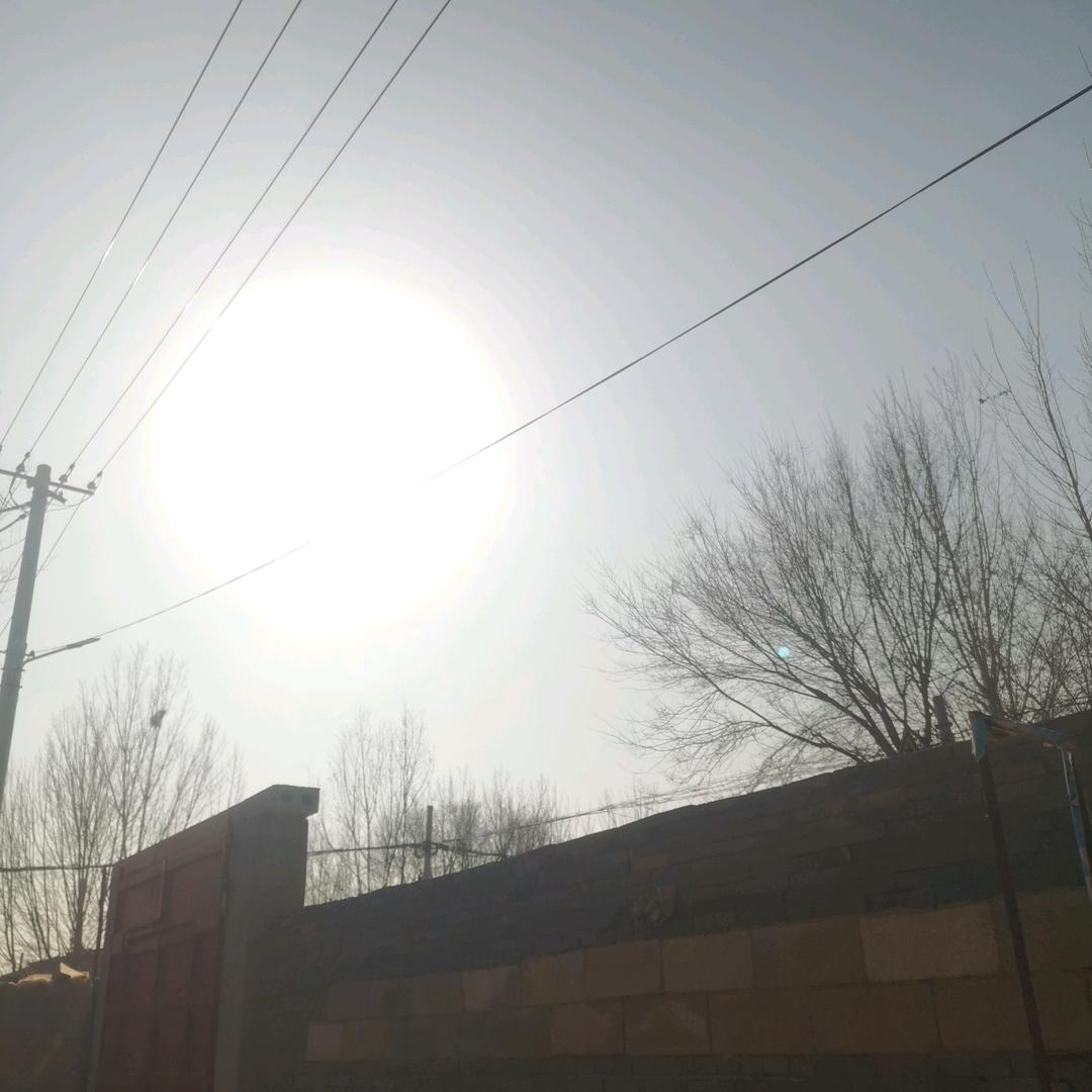 老方我想吃鱼了