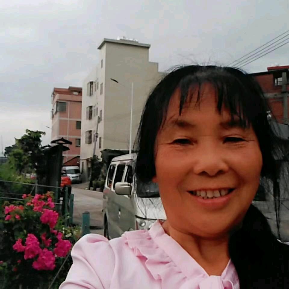 赵文芬