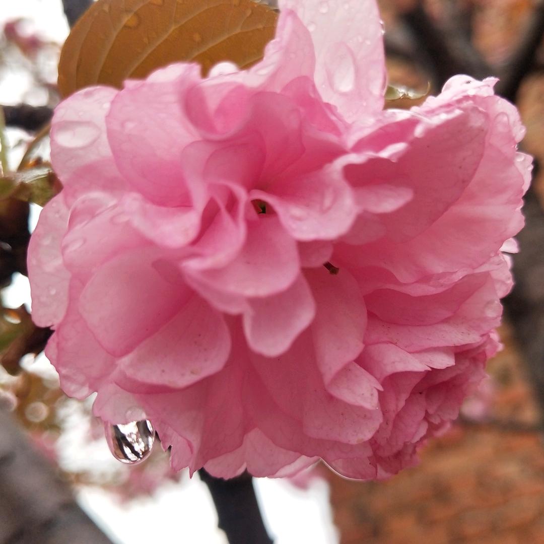 好运🍒加满💞一路向钱💞