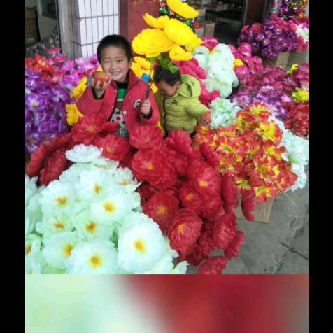 阳环励