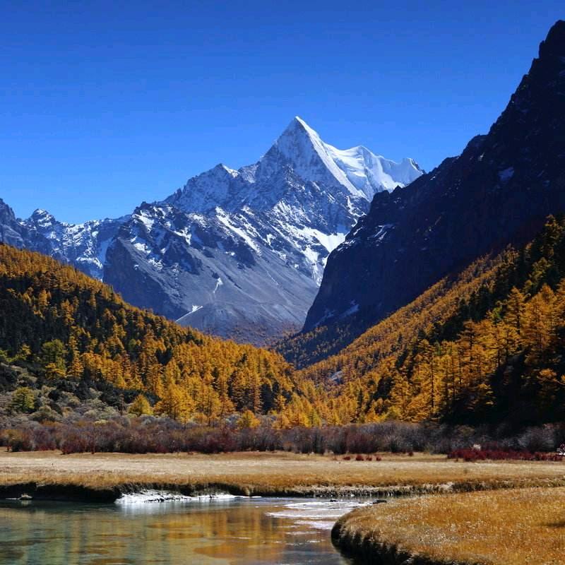 小老斧