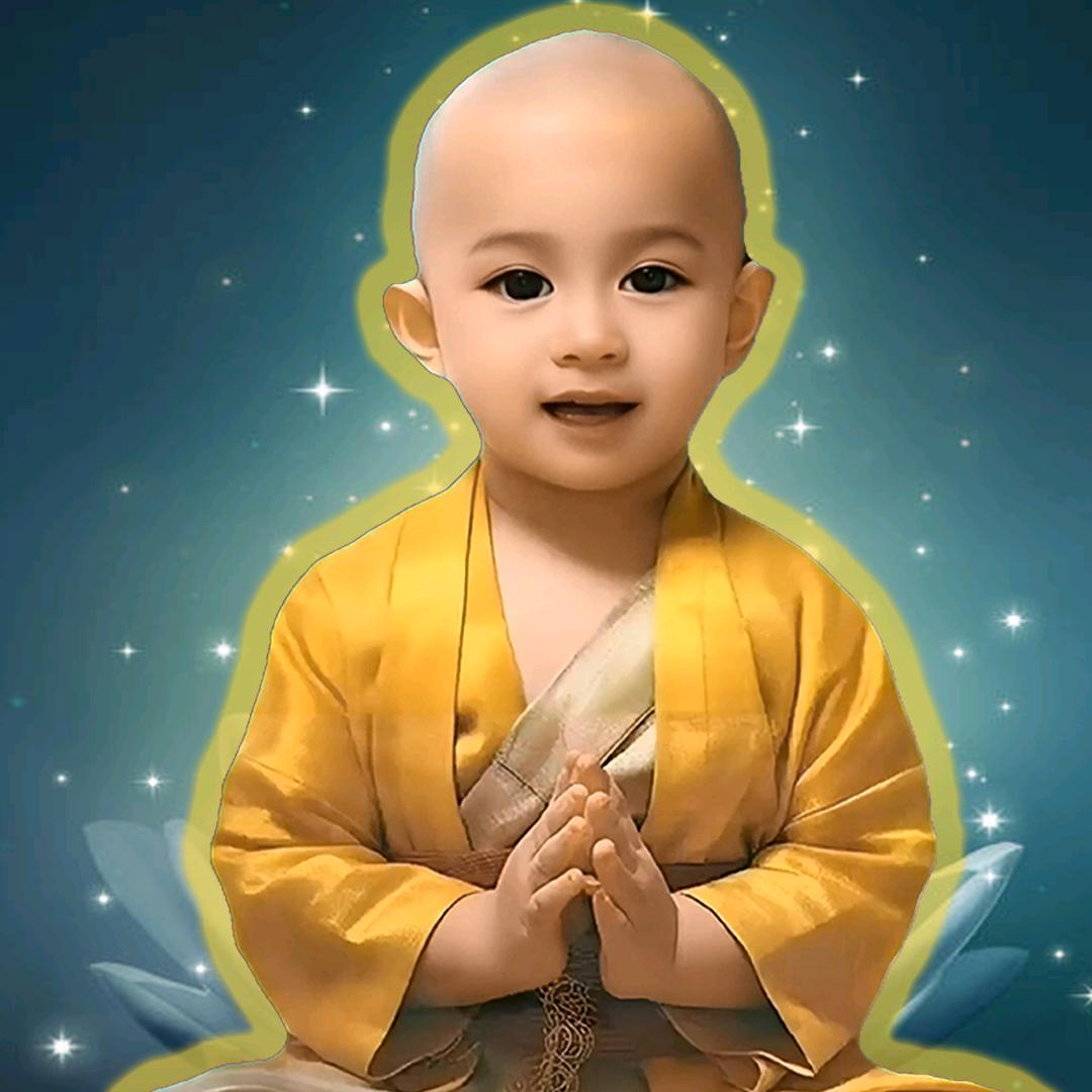 禅心小和尚