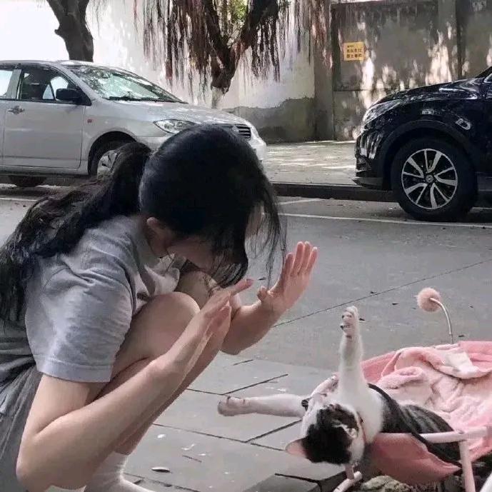 亲亲泡菜鱼