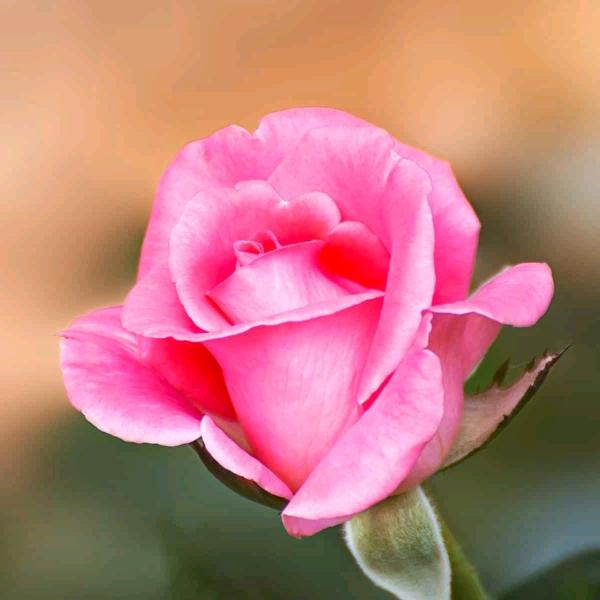 透视？？？？？？