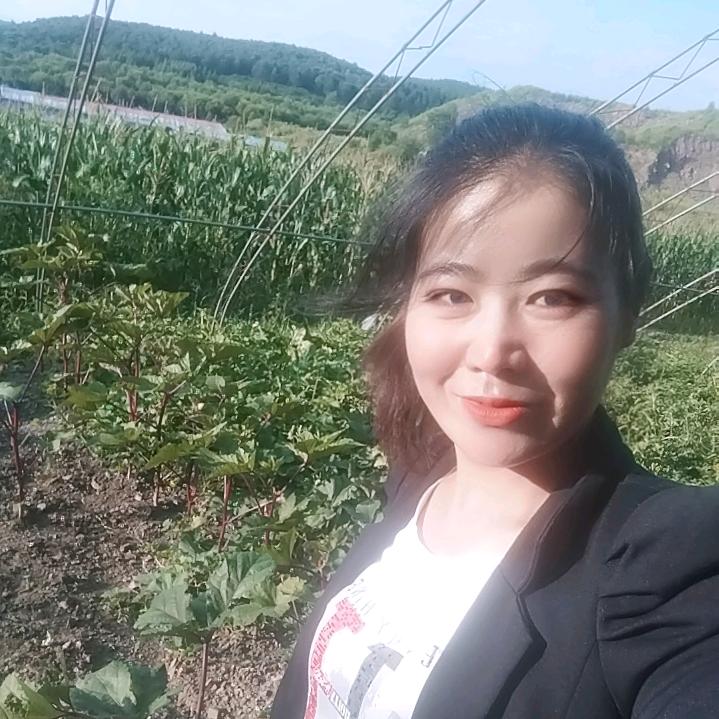 董小董