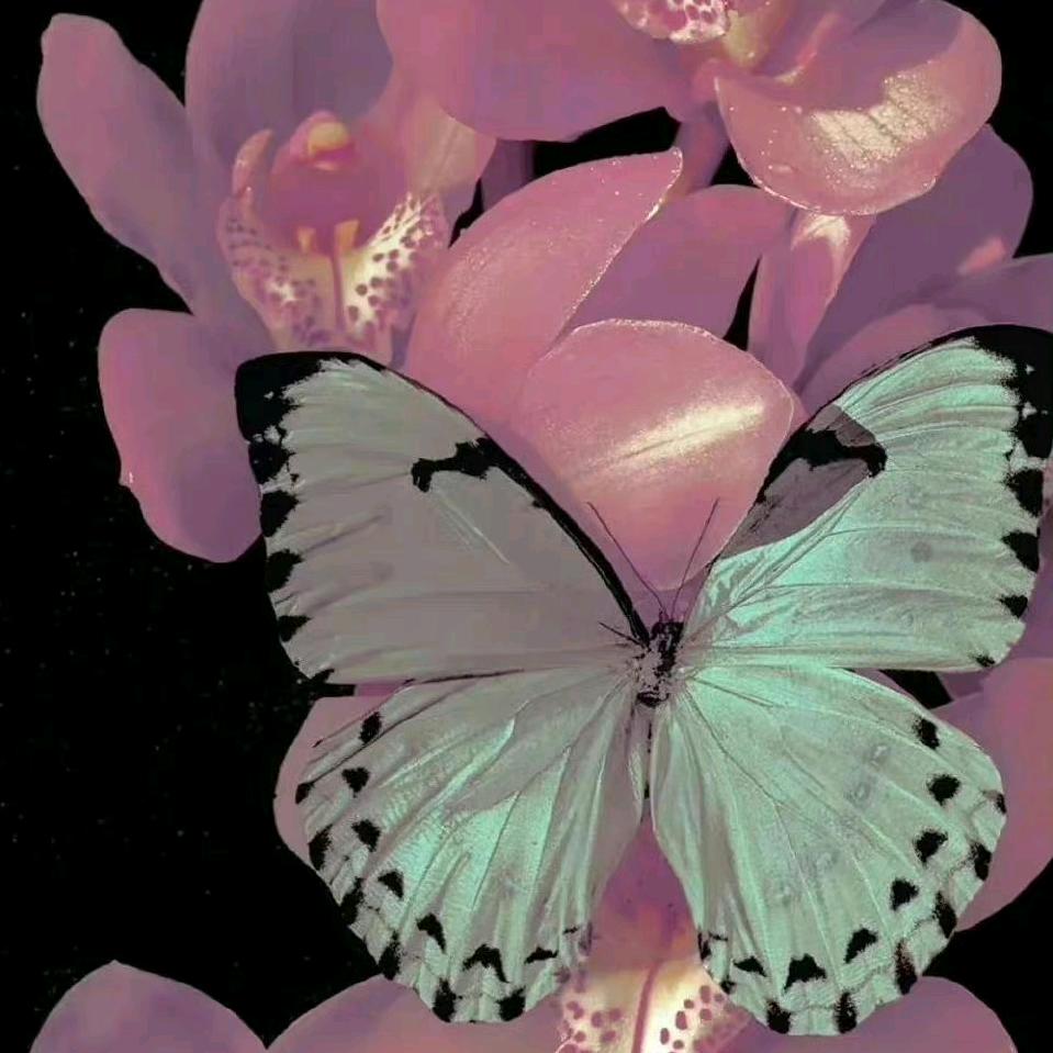 🥔不爱吃饭🍉🥝