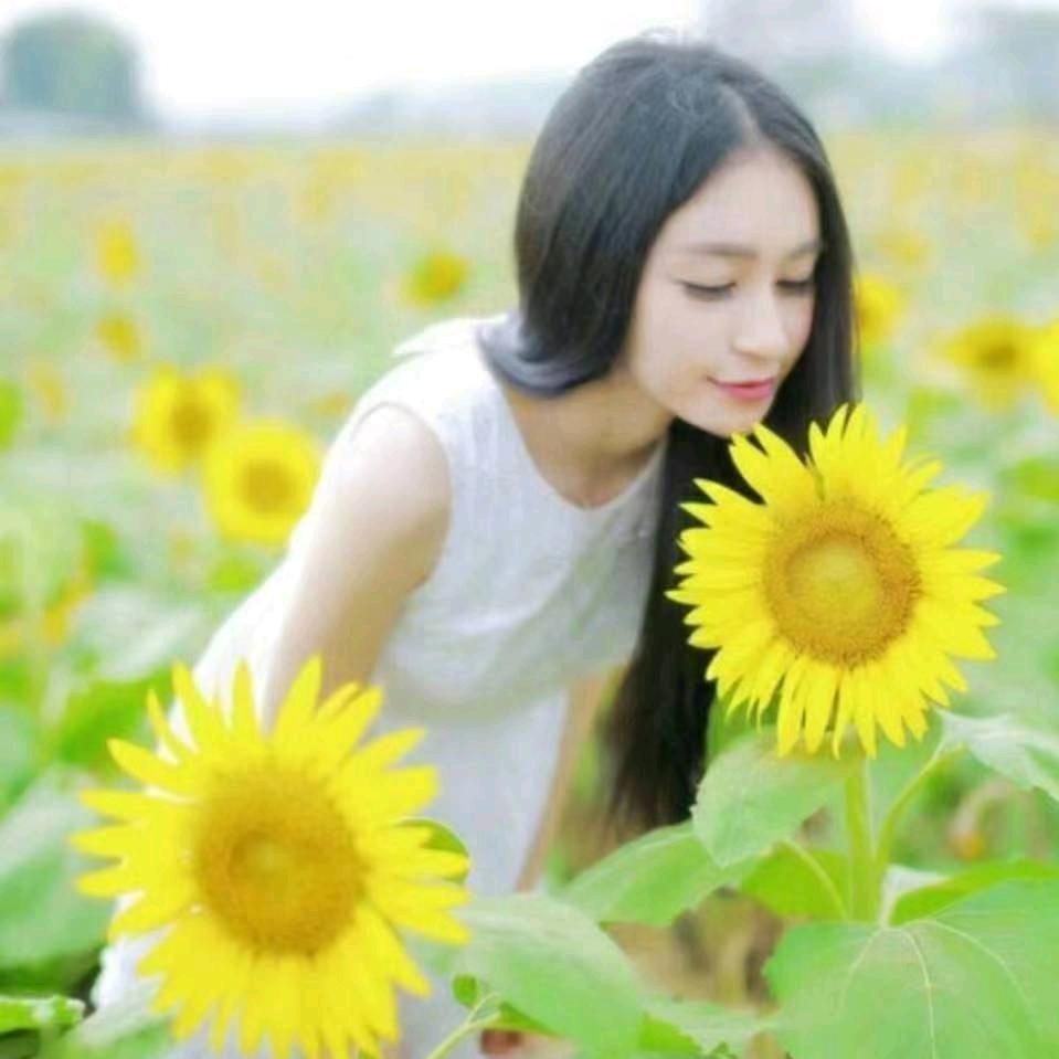 茶香邓村·燕子优选