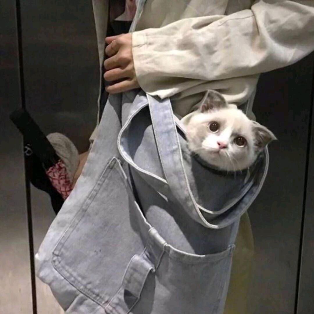 北枳