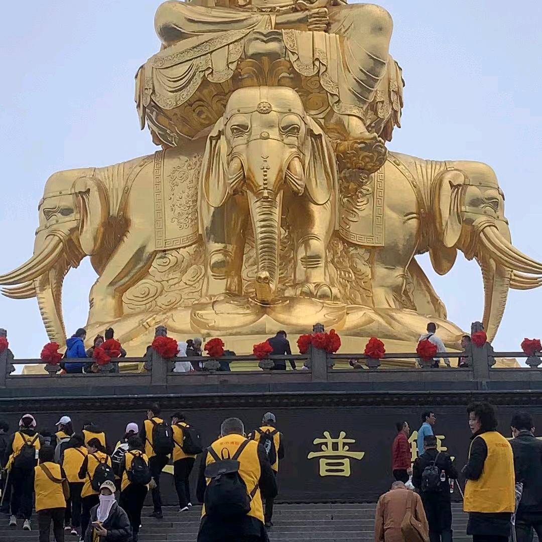 吴总