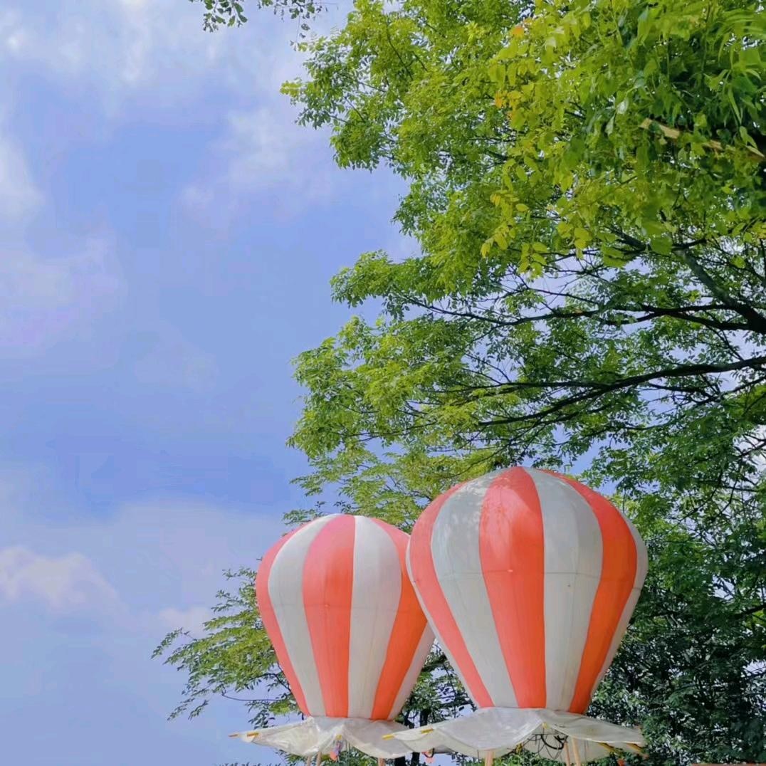 小浈同学