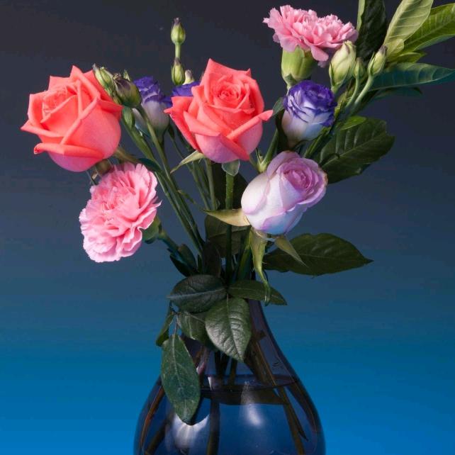 遇见你，遇见幸福！！