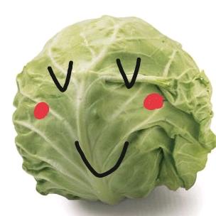 卷心菜菜菜