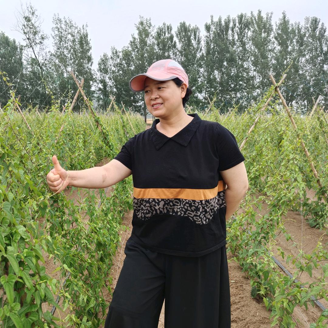 李姐讲山药（盛农丰）