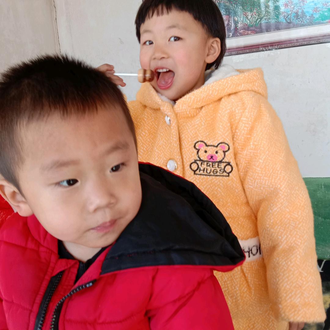 飞鱼