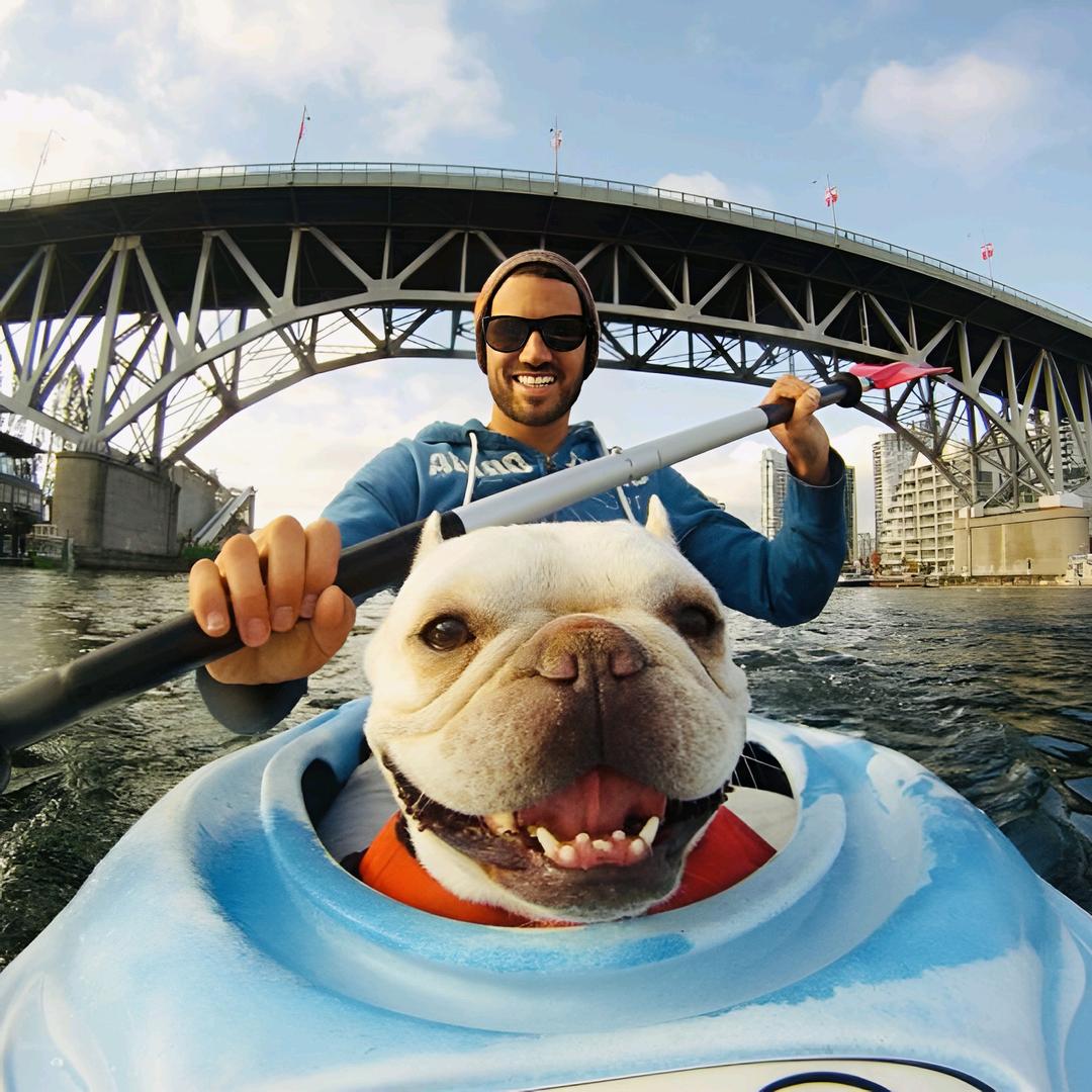 钢轧