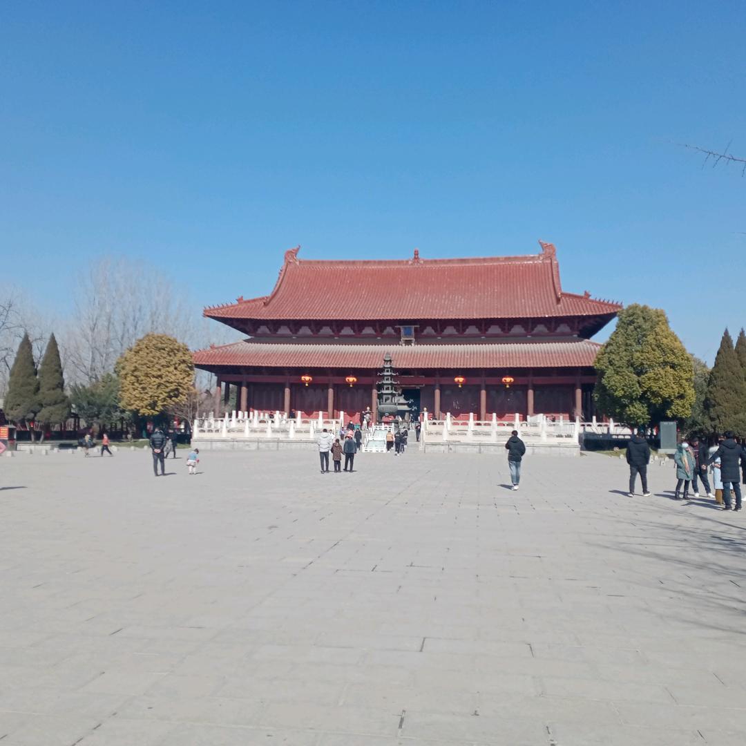 自由之翼
