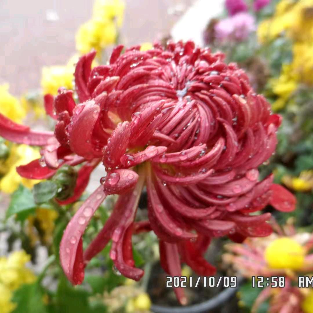 幸福到永远