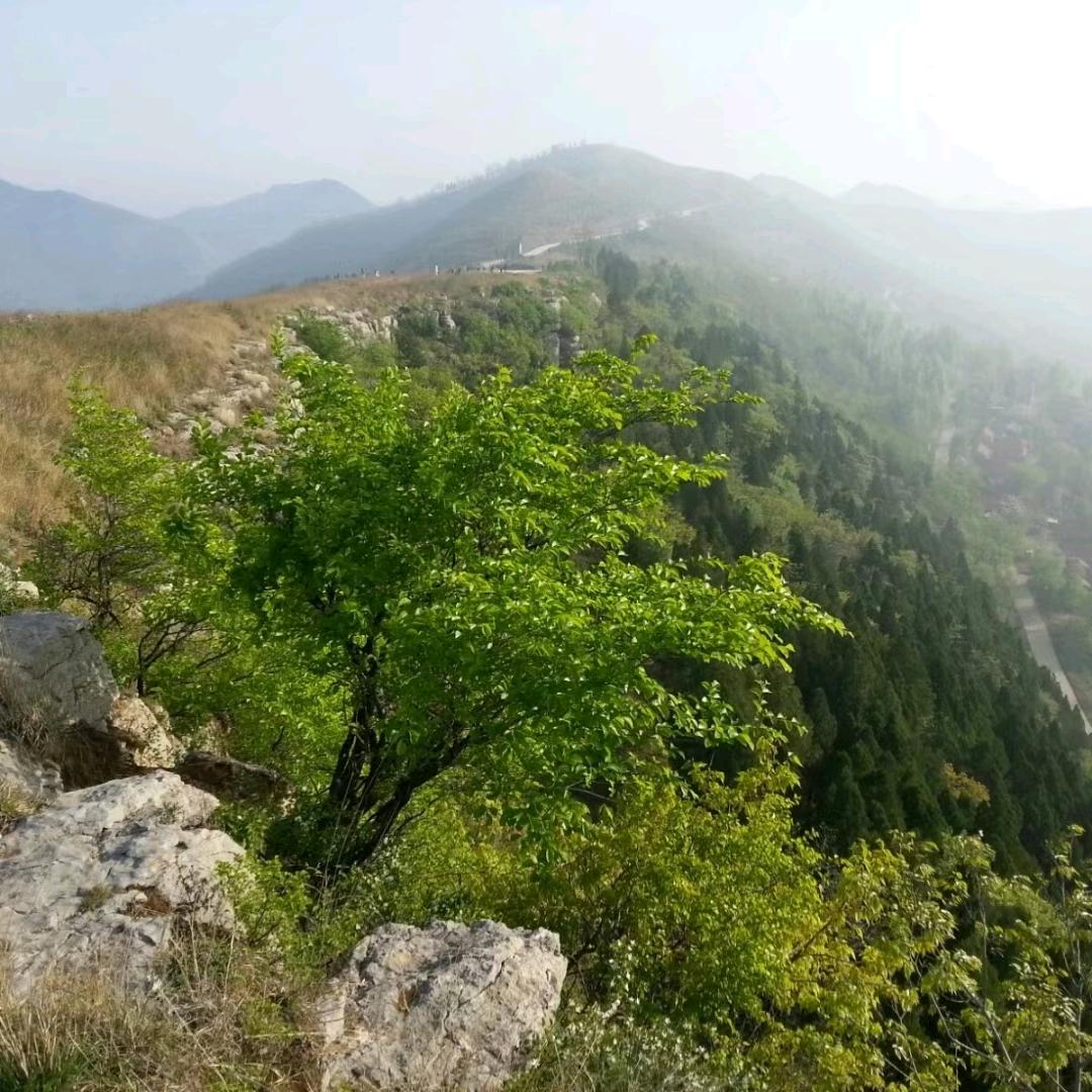 杰，
