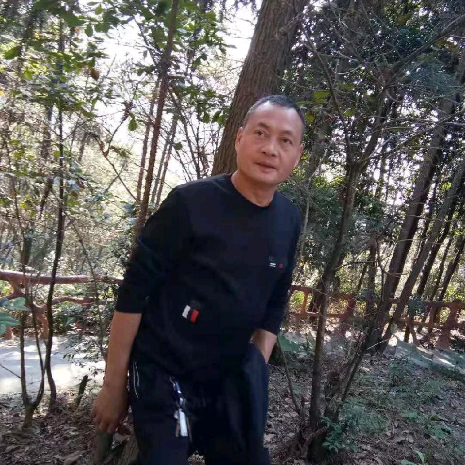 丰子
