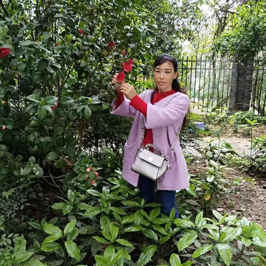 云里的彩虹