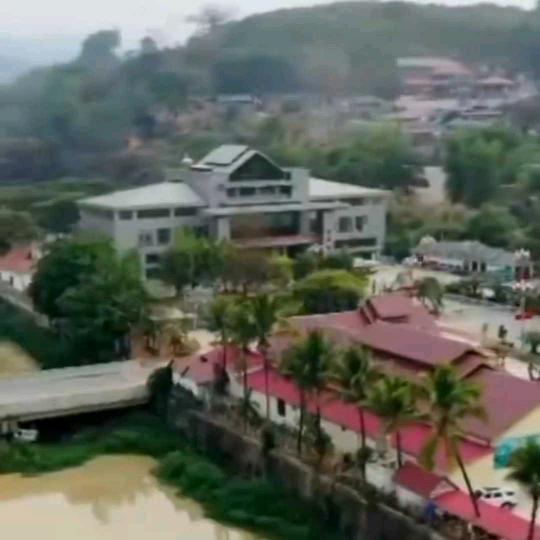 没心没肺活的不累