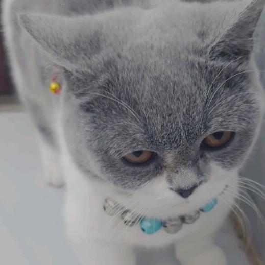 呱呱海鲜