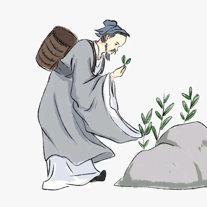 华夏岐黄