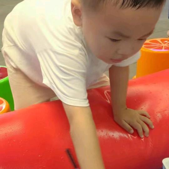 金桔
