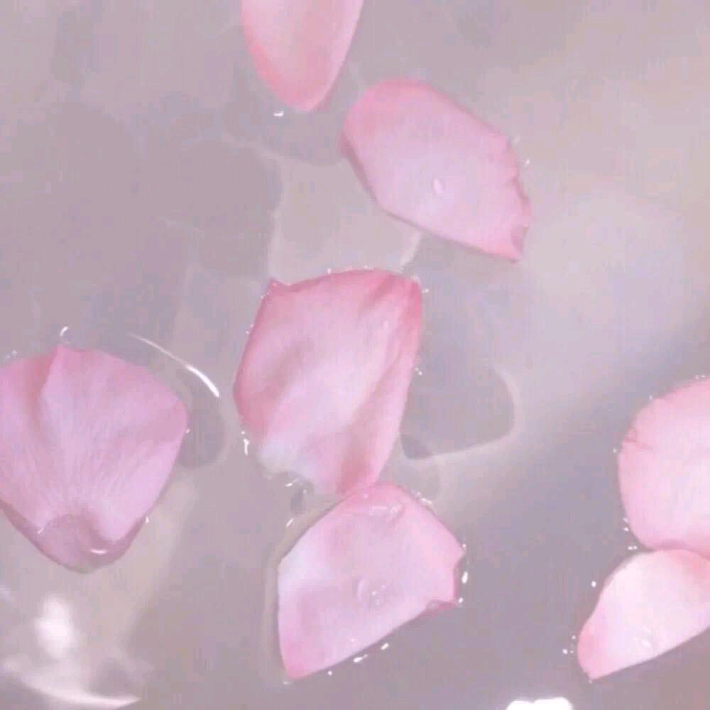 长情_陪伴