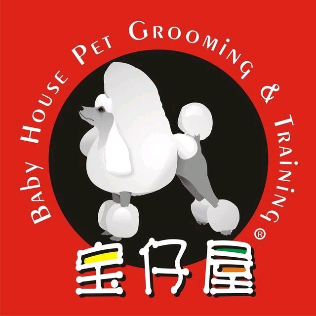 成都宝仔屋宠物美容师培训