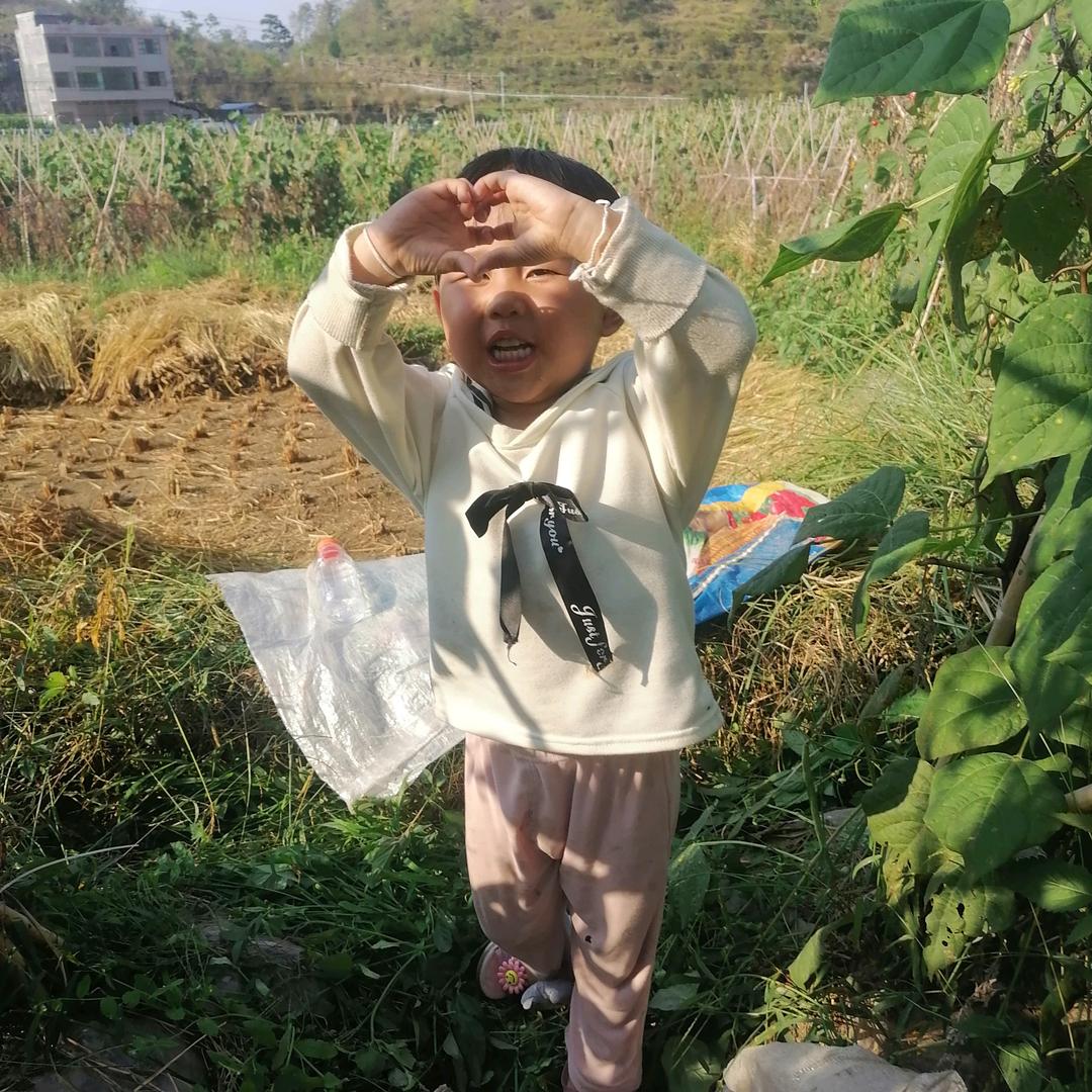 被伤过的心，无法缝合