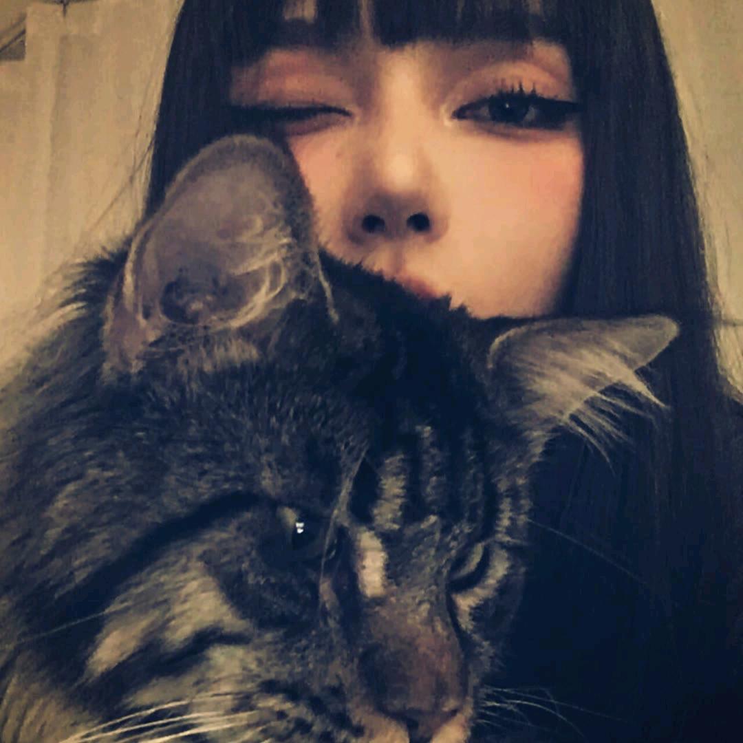 猕猴桃