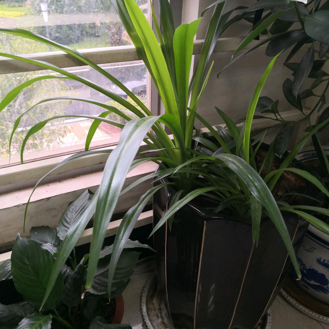 孙琪顺