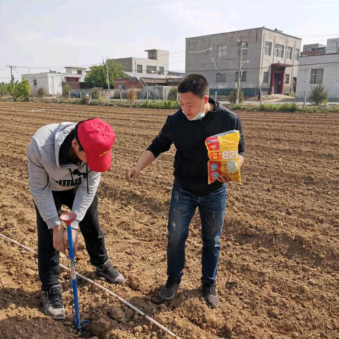 农业人小刚