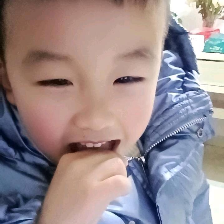 凤