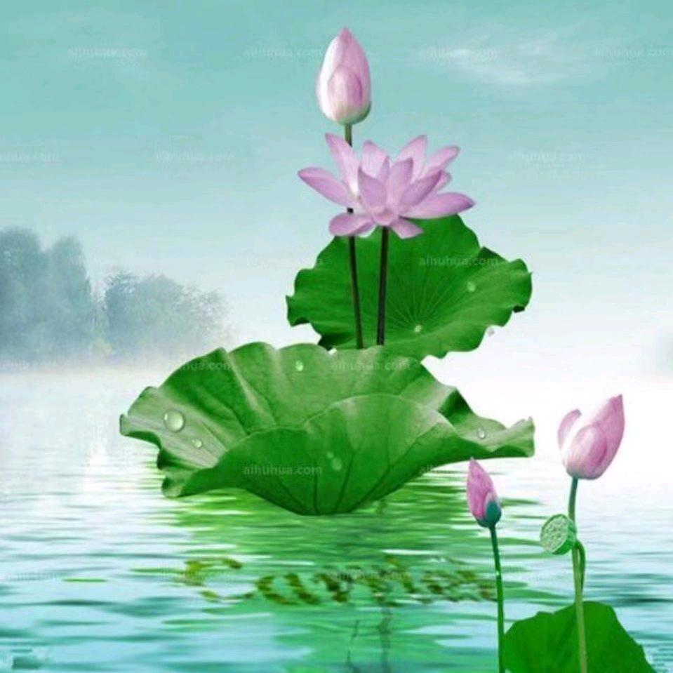 车必安日安进口汽车服务中心