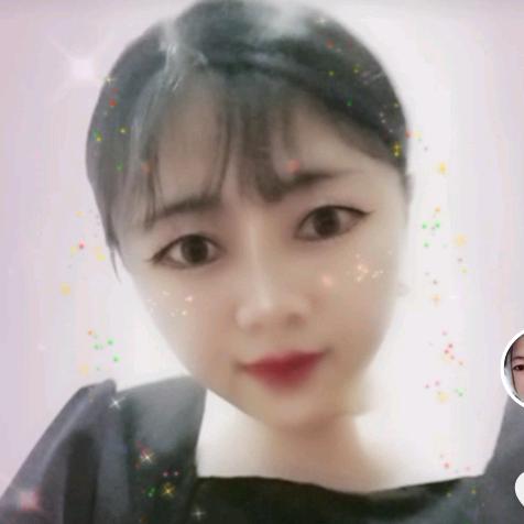 琴