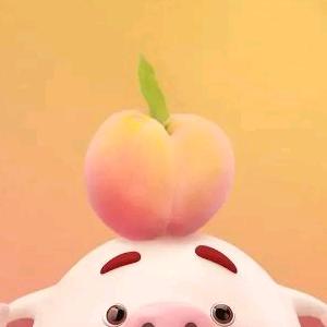 南征北战