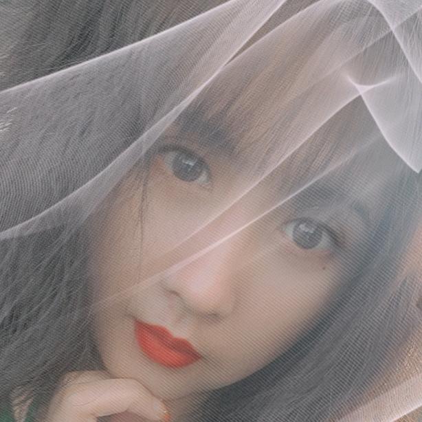 菲 queen