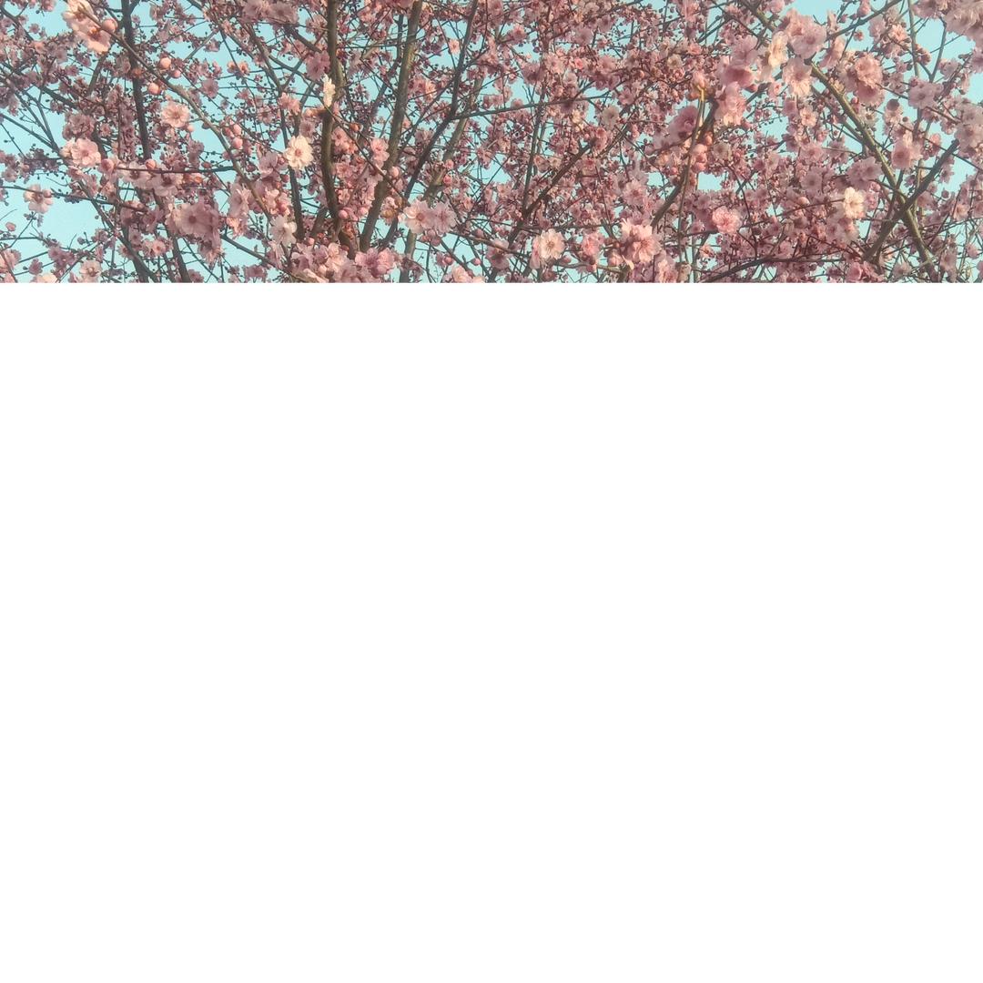 平安健康就是福