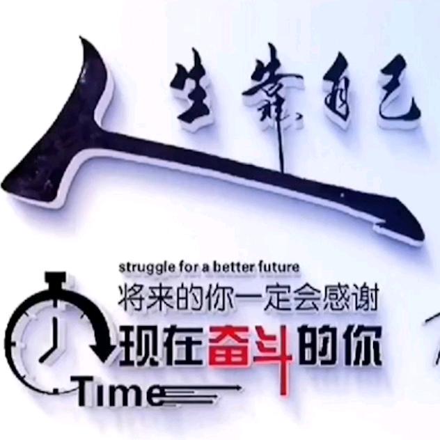❤️刘 金 岁 月❤️