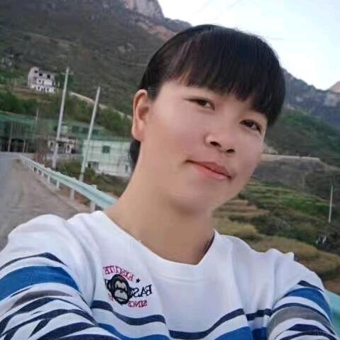 顺其自然《杨》