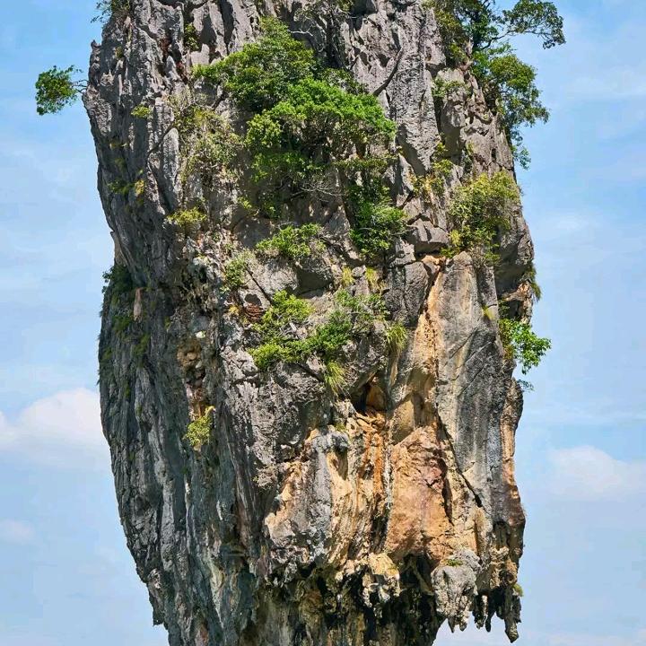 忘记自己