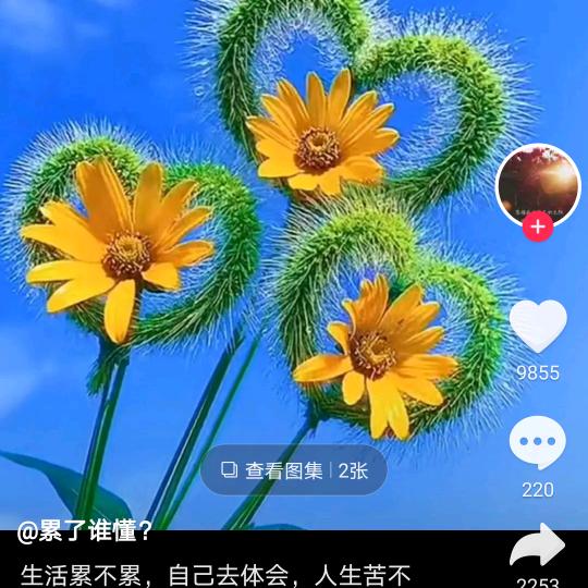 zhang