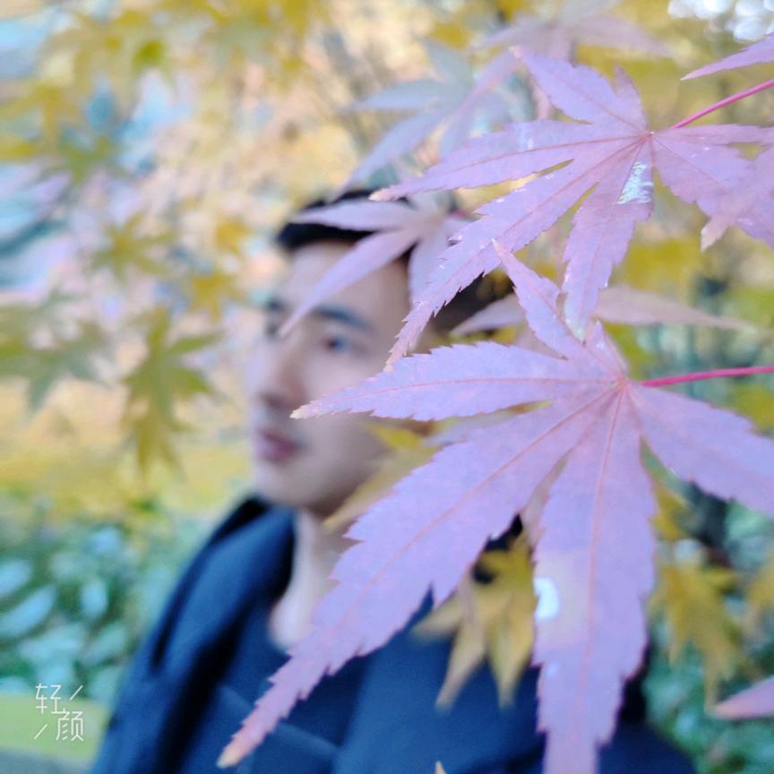 共白头