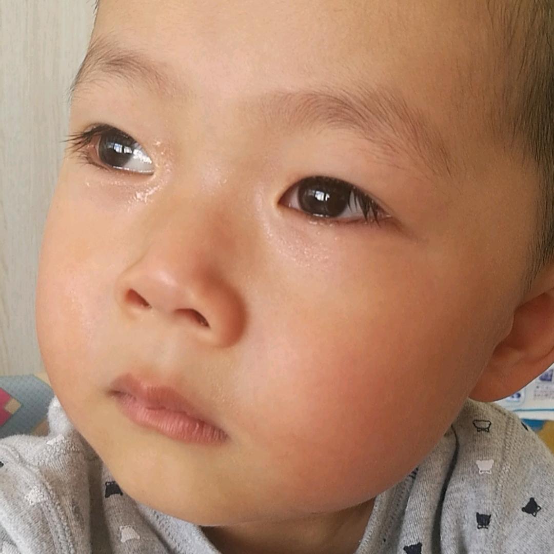 暴躁的野鹿