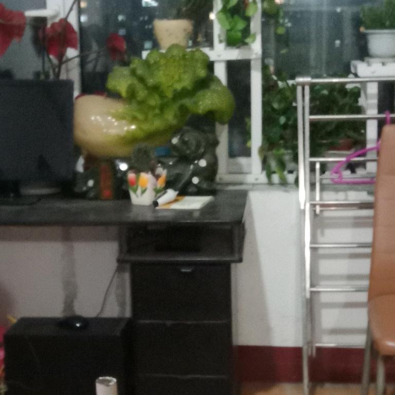 感恩的心里
