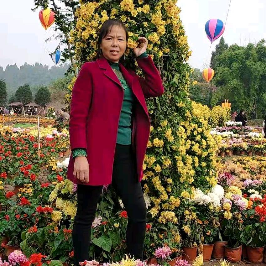 大菊